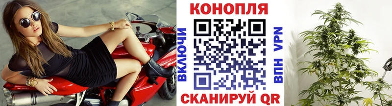 Купить закладку Бутурлиновка Бошки Шишки  СОЛЬ  Мефедрон 
