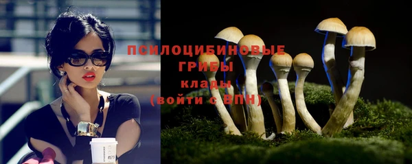 марки nbome Белокуриха