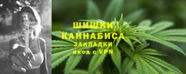 PSILOCYBIN Беломорск
