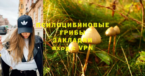 твердый Белоозёрский