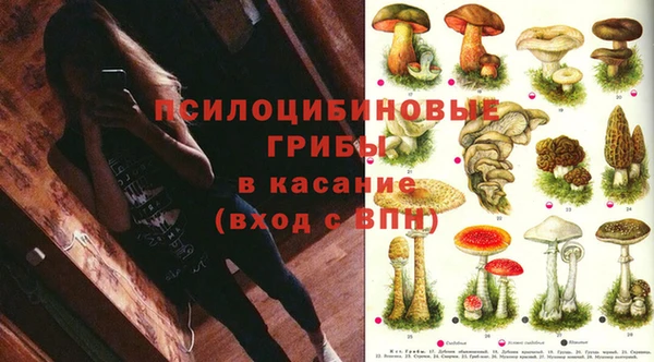 твердый Белоозёрский