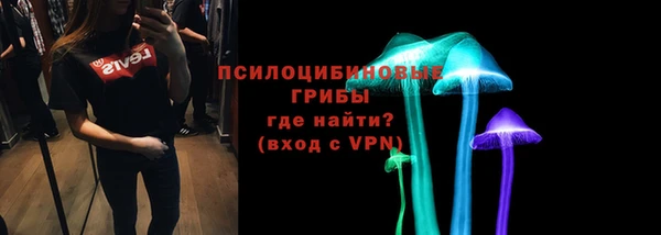 PSILOCYBIN Беломорск