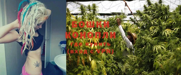 PSILOCYBIN Беломорск