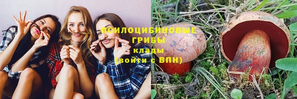 PSILOCYBIN Беломорск