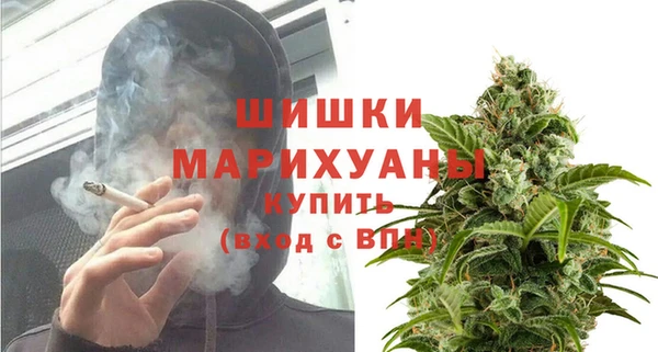 PSILOCYBIN Беломорск