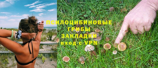 твердый Белоозёрский