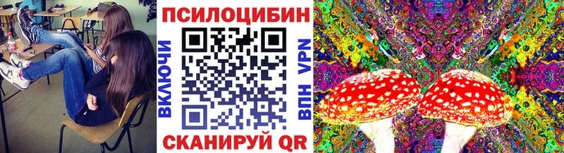 купить  цена  Бутурлиновка  Псилоцибиновые грибы Psilocybine cubensis 